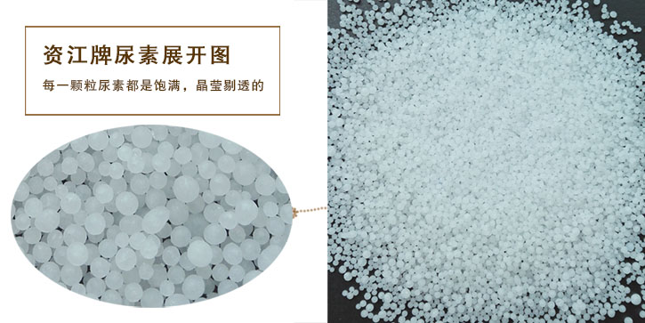 尿素生(sheng)産廠家