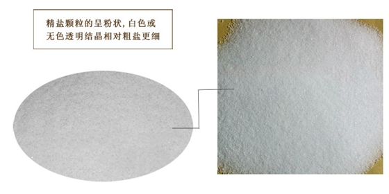 精鹽特寫(xie)