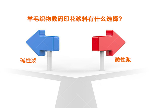 羊(yang)毛織物數(shu)碼印花漿(jiang)料有什麽(me)選擇