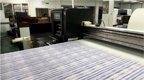 影響(xiang)數碼印(yin)花機打(da)印圖案(an)邊緣清(qing)晰度的(de)因素